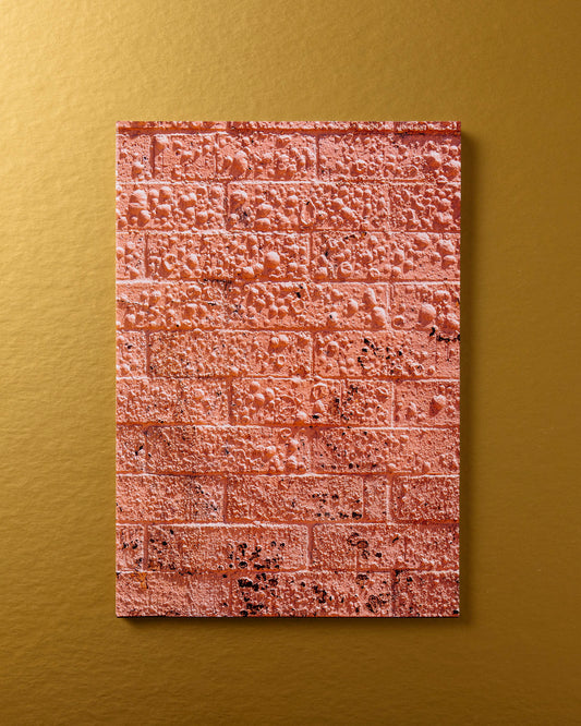 Californian Wildflowers