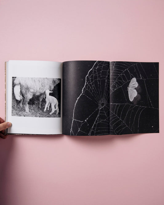 What the Rain Might Bring