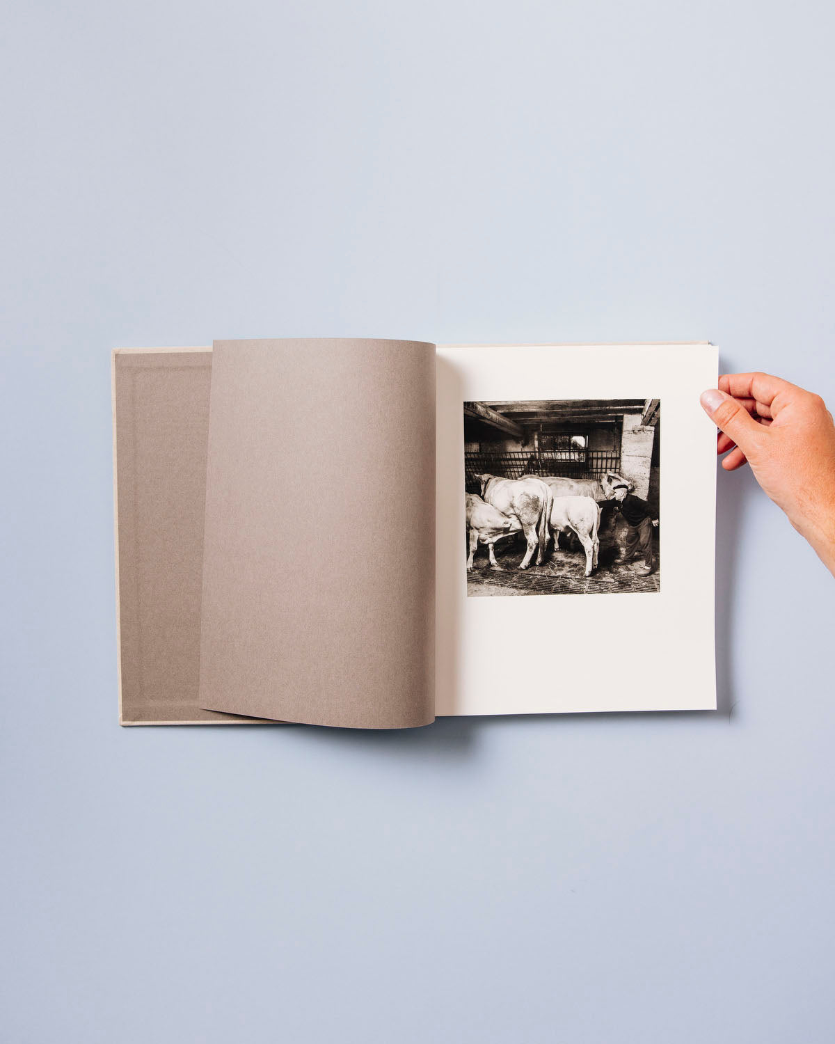 Gure Bazterrak (Our Land)