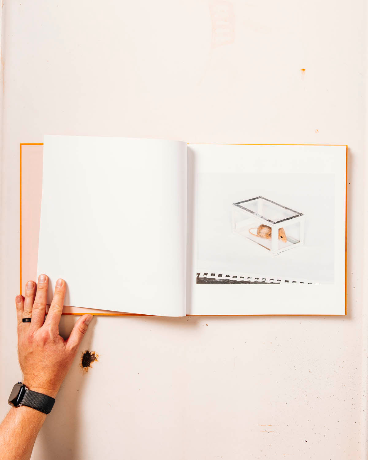 Advice for Young Artists