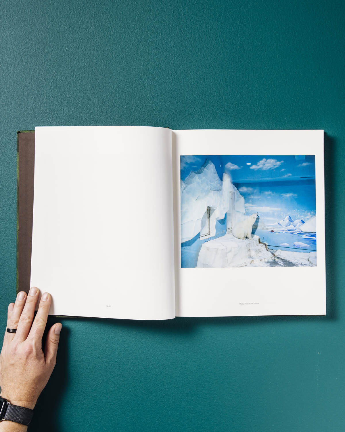 The Anthropocene Illusion