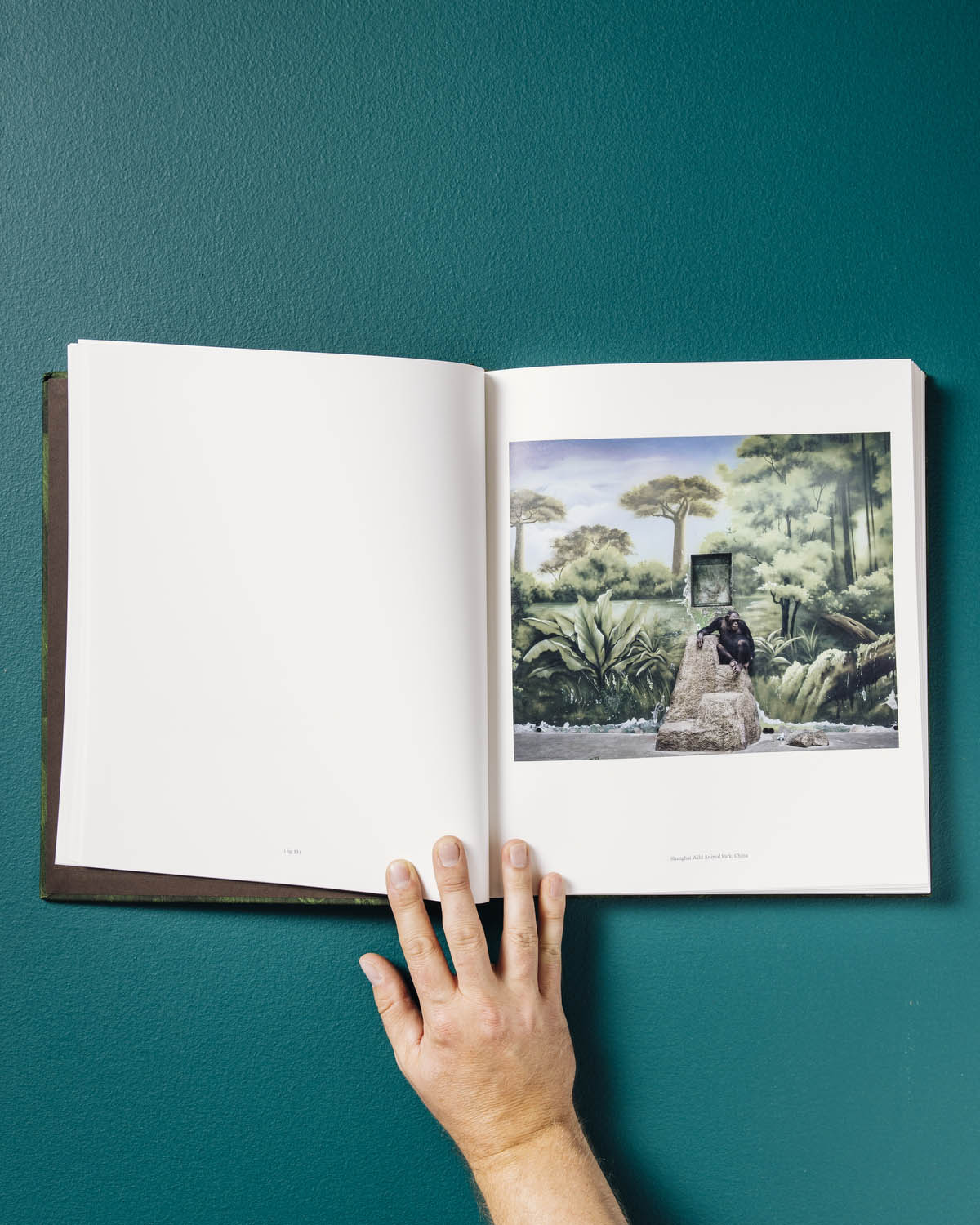 The Anthropocene Illusion