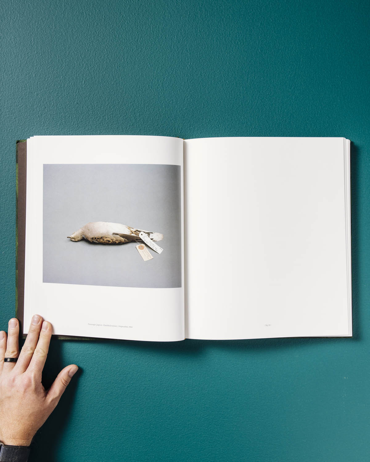 The Anthropocene Illusion