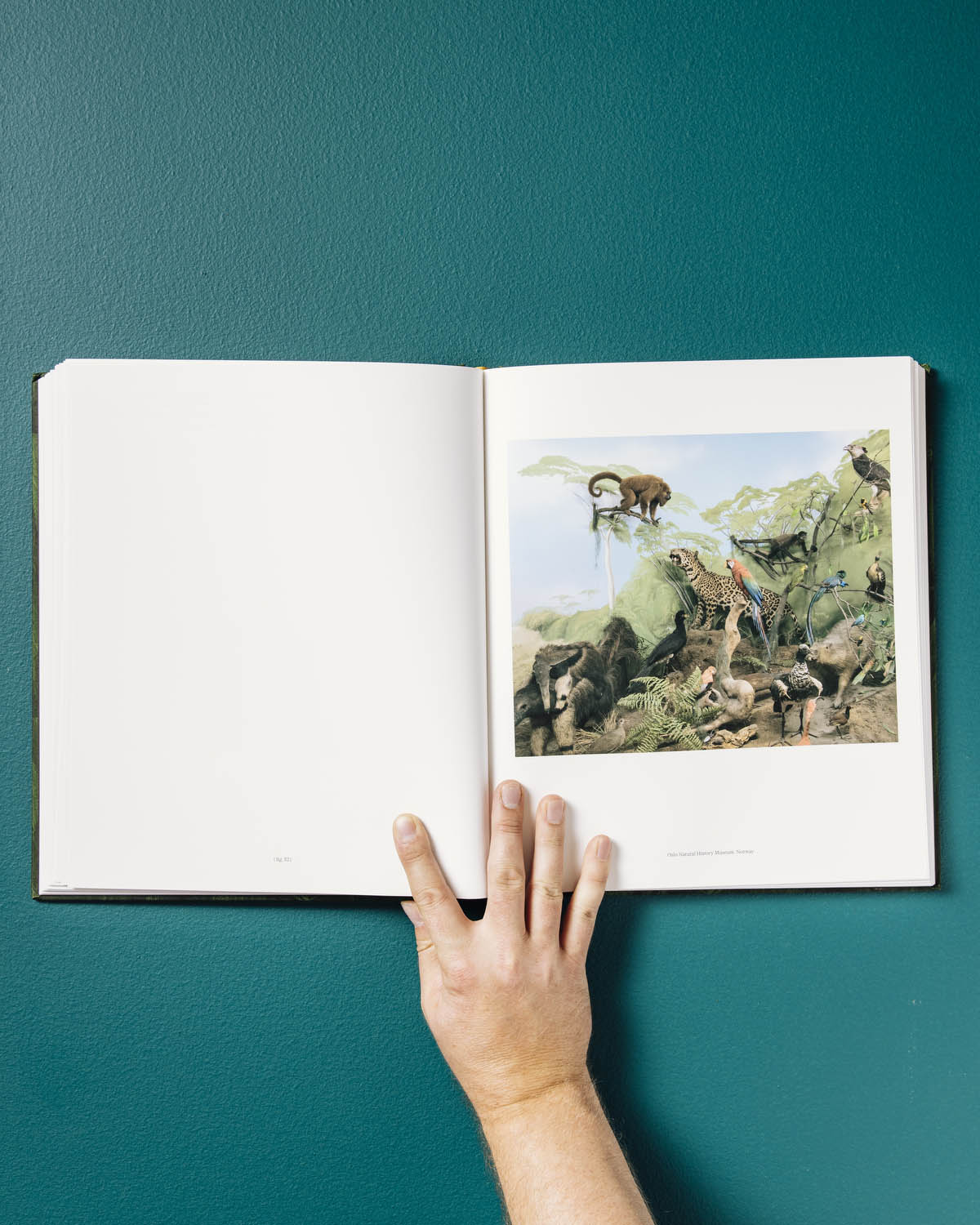 The Anthropocene Illusion