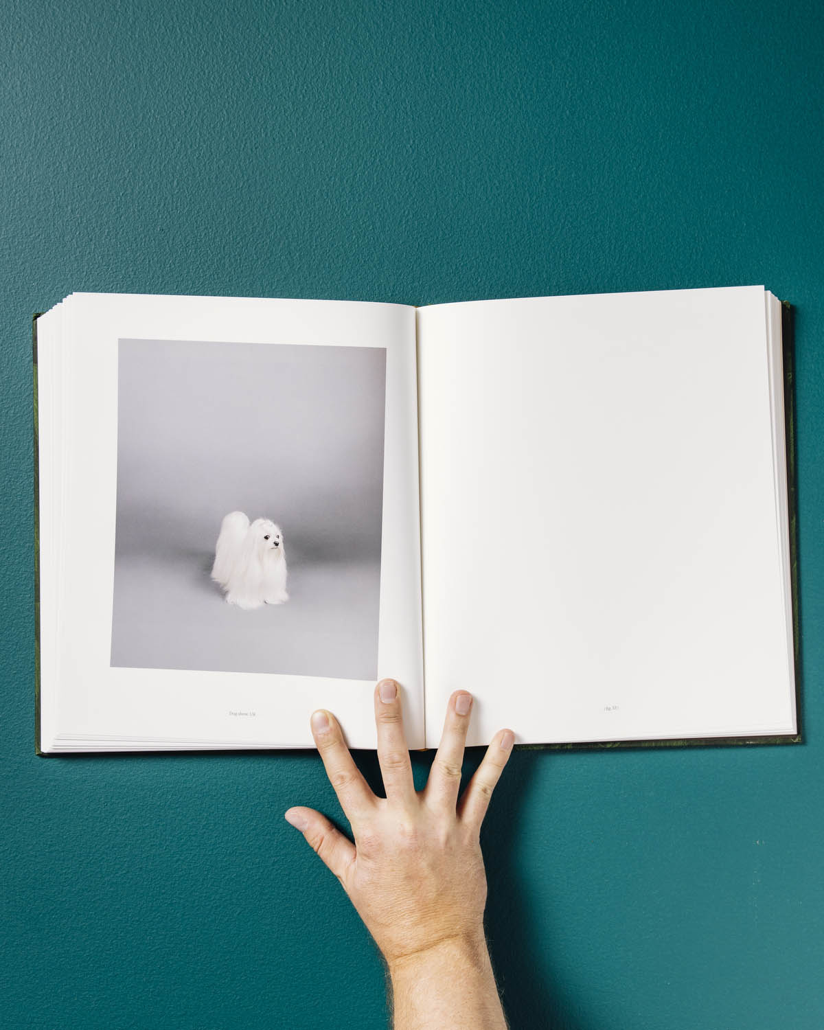 The Anthropocene Illusion