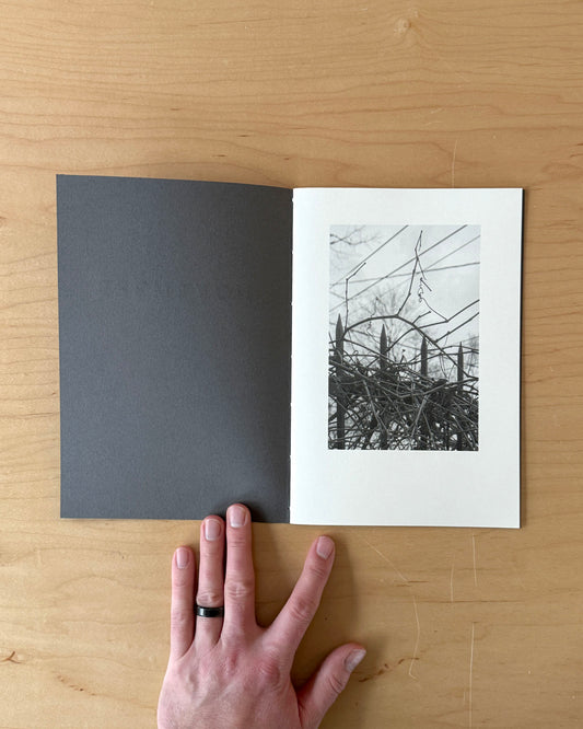 NOVEMBER by Matthew David Crowther