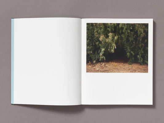 A Poor Sort of Memory