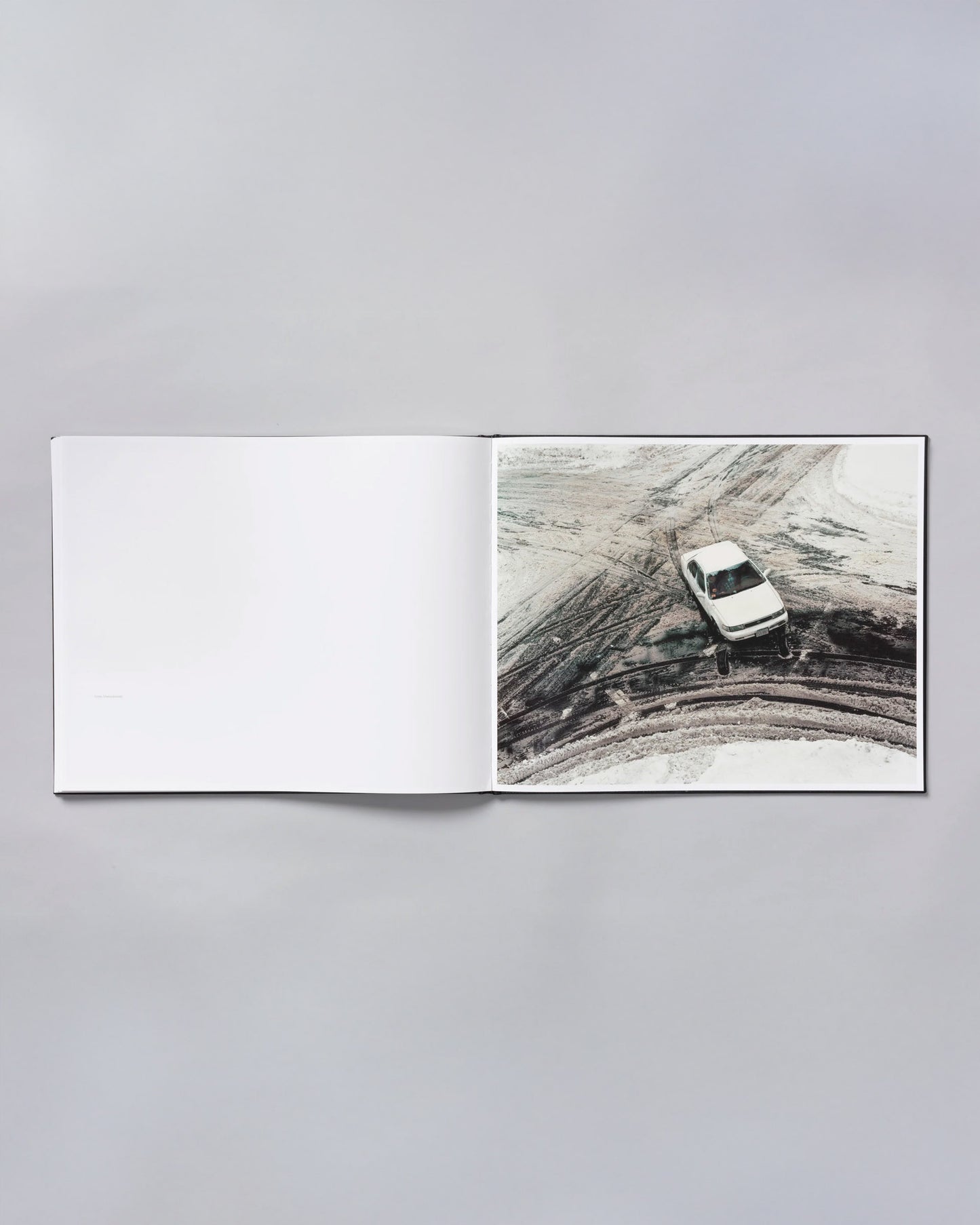 Windscreen