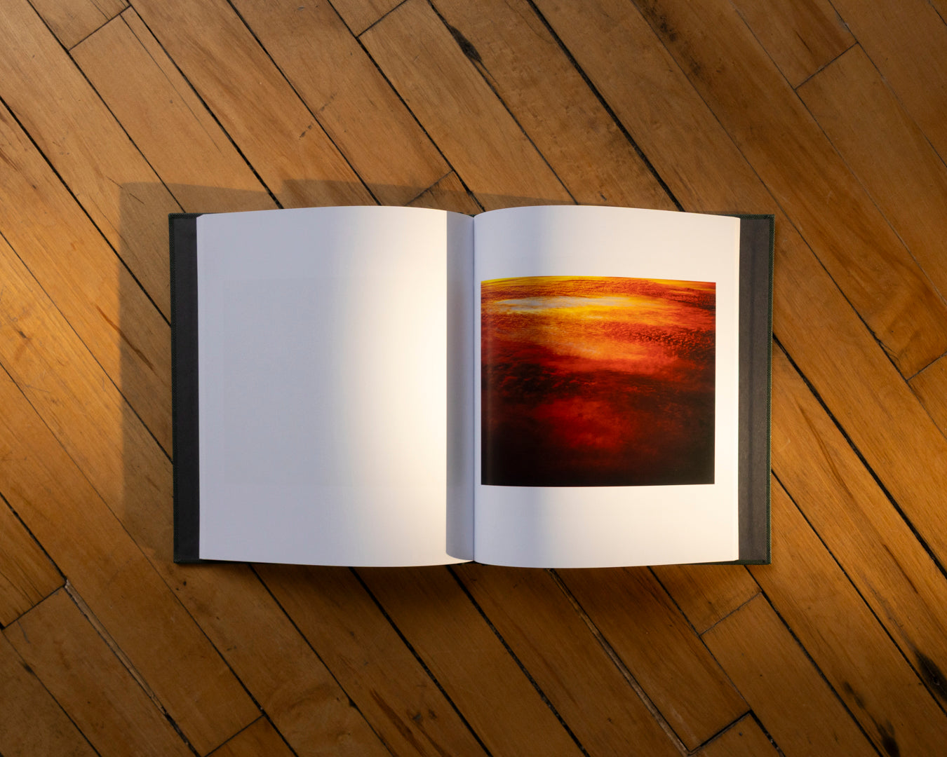 Lost Coast (Second Edition)