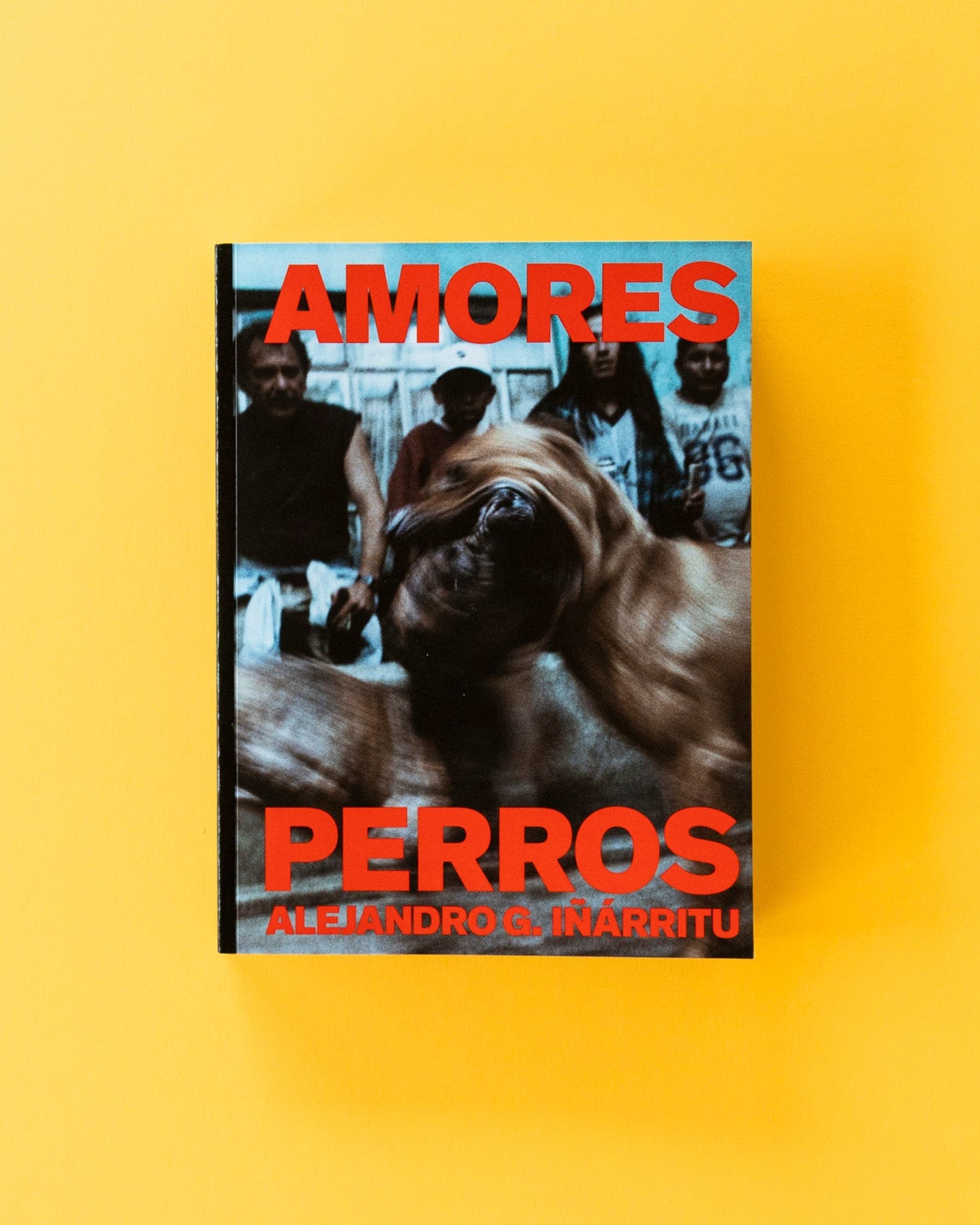 Amores Perros