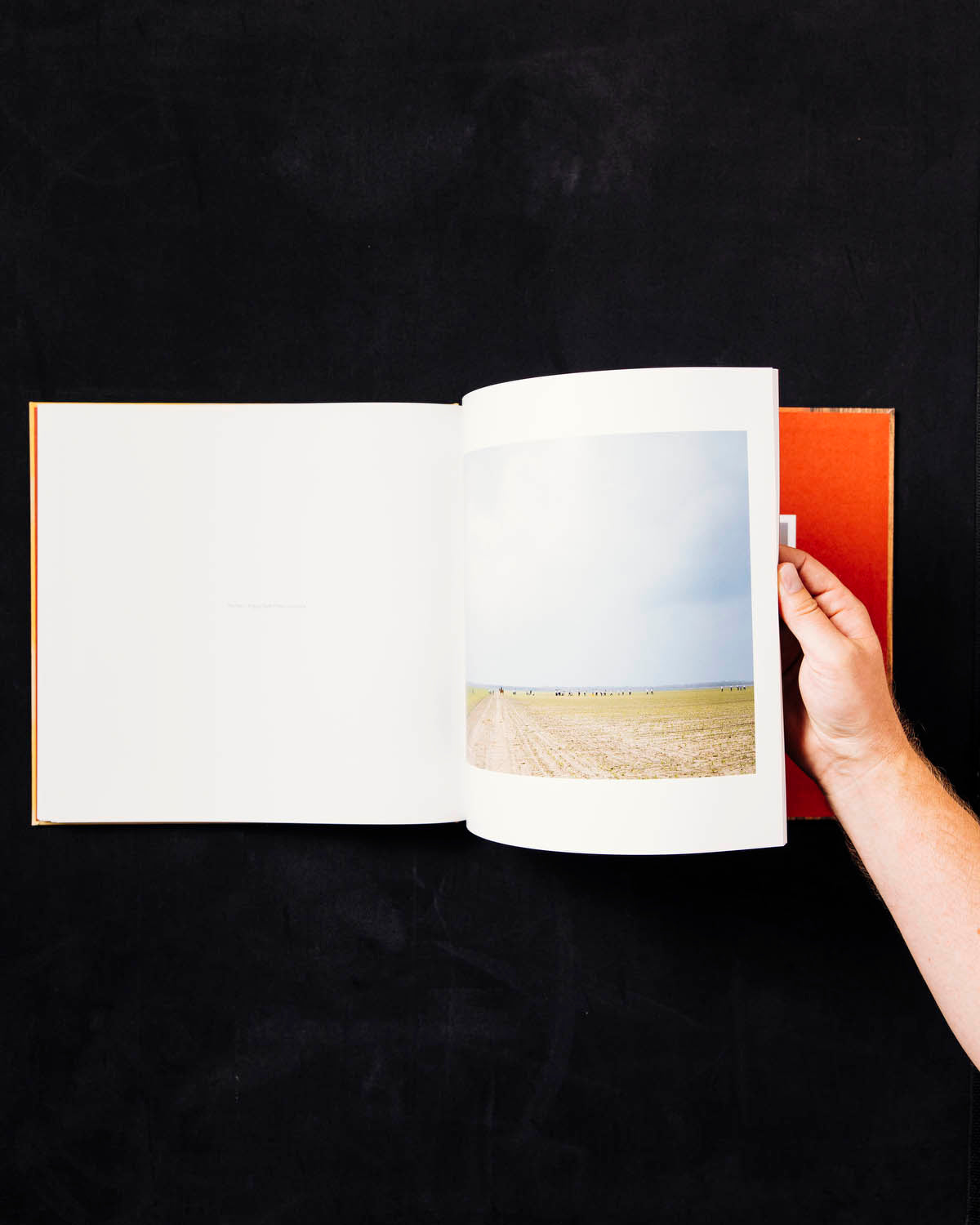 Sleeping by the Mississippi