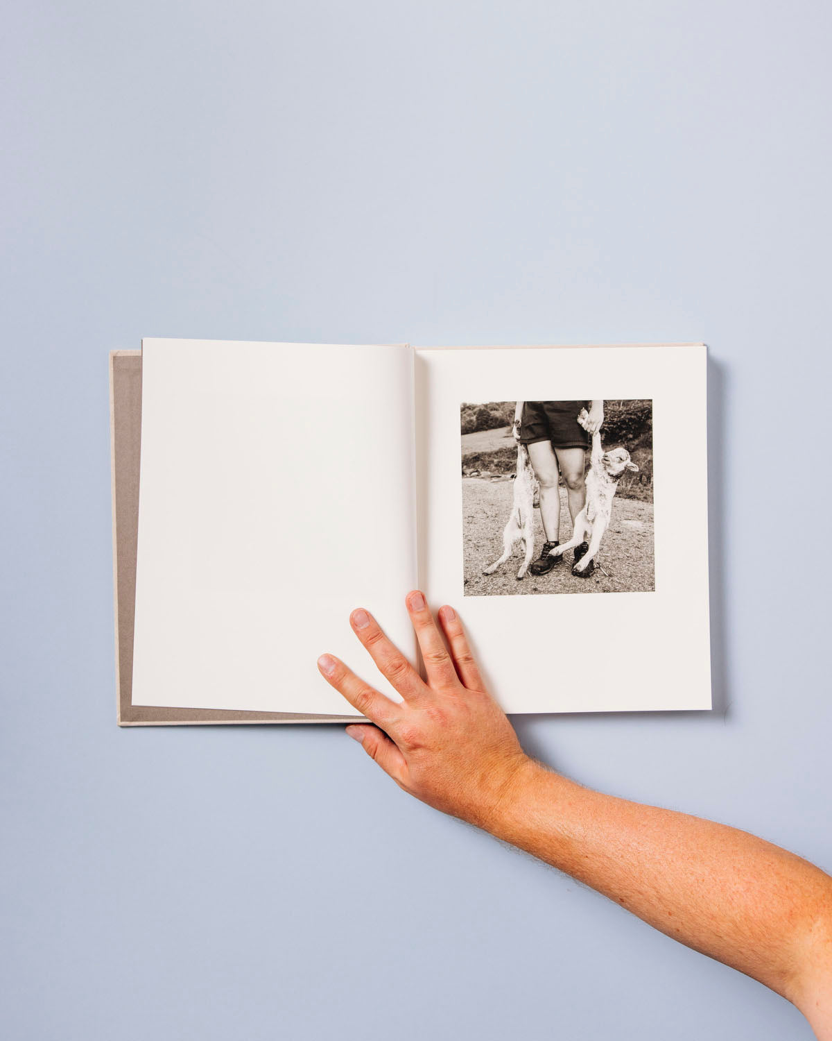 Gure Bazterrak (Our Land)