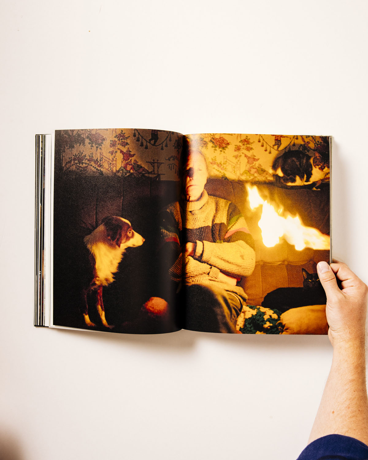 Ray's a Laugh – Realm Books
