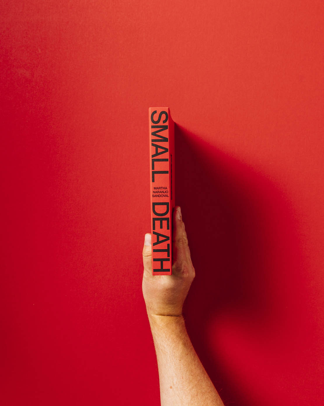 【未開封】SMALL DEATH by Martha N. Sandoval Small Death – Realm Books