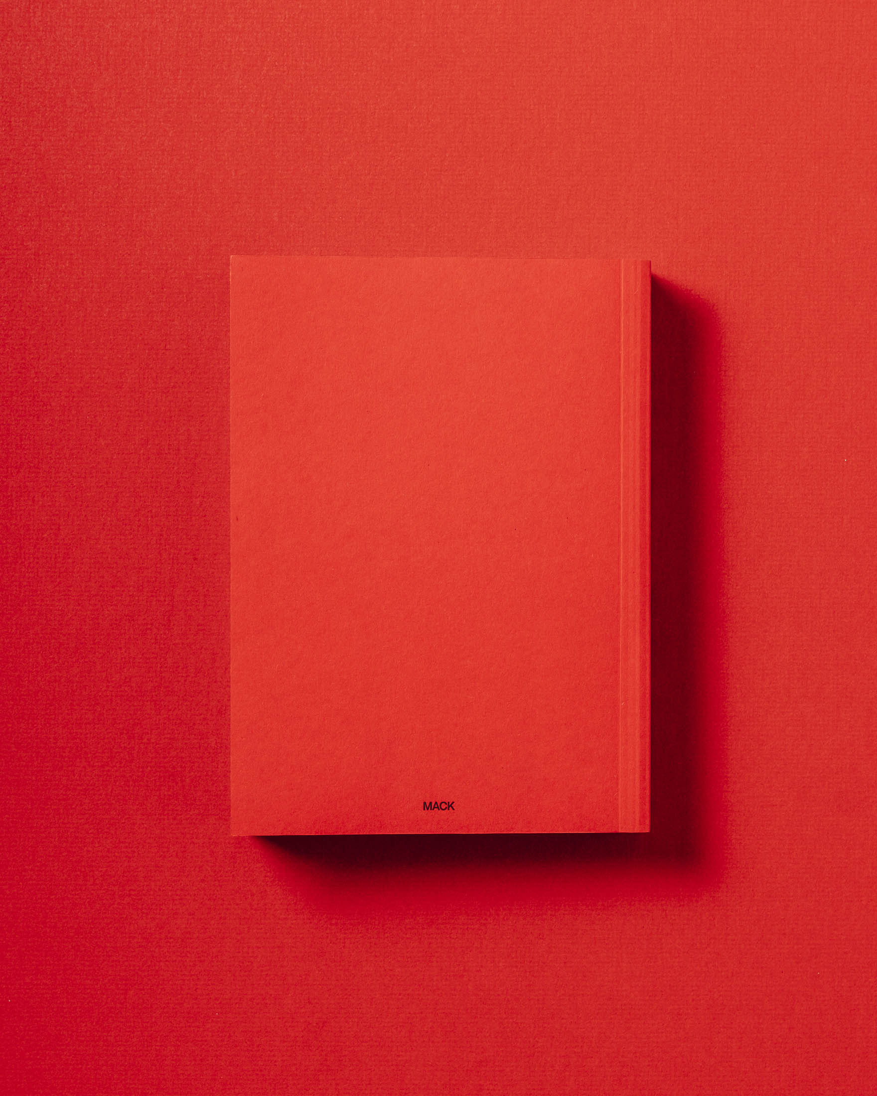 【未開封】SMALL DEATH by Martha N. Sandoval Small Death – Realm Books