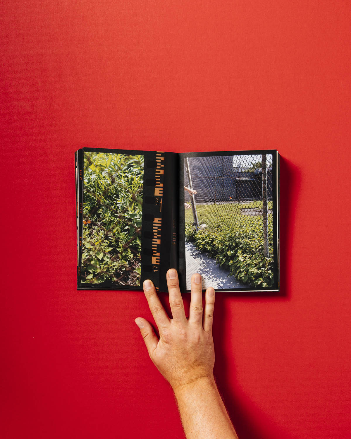 Small Death – Realm Books
