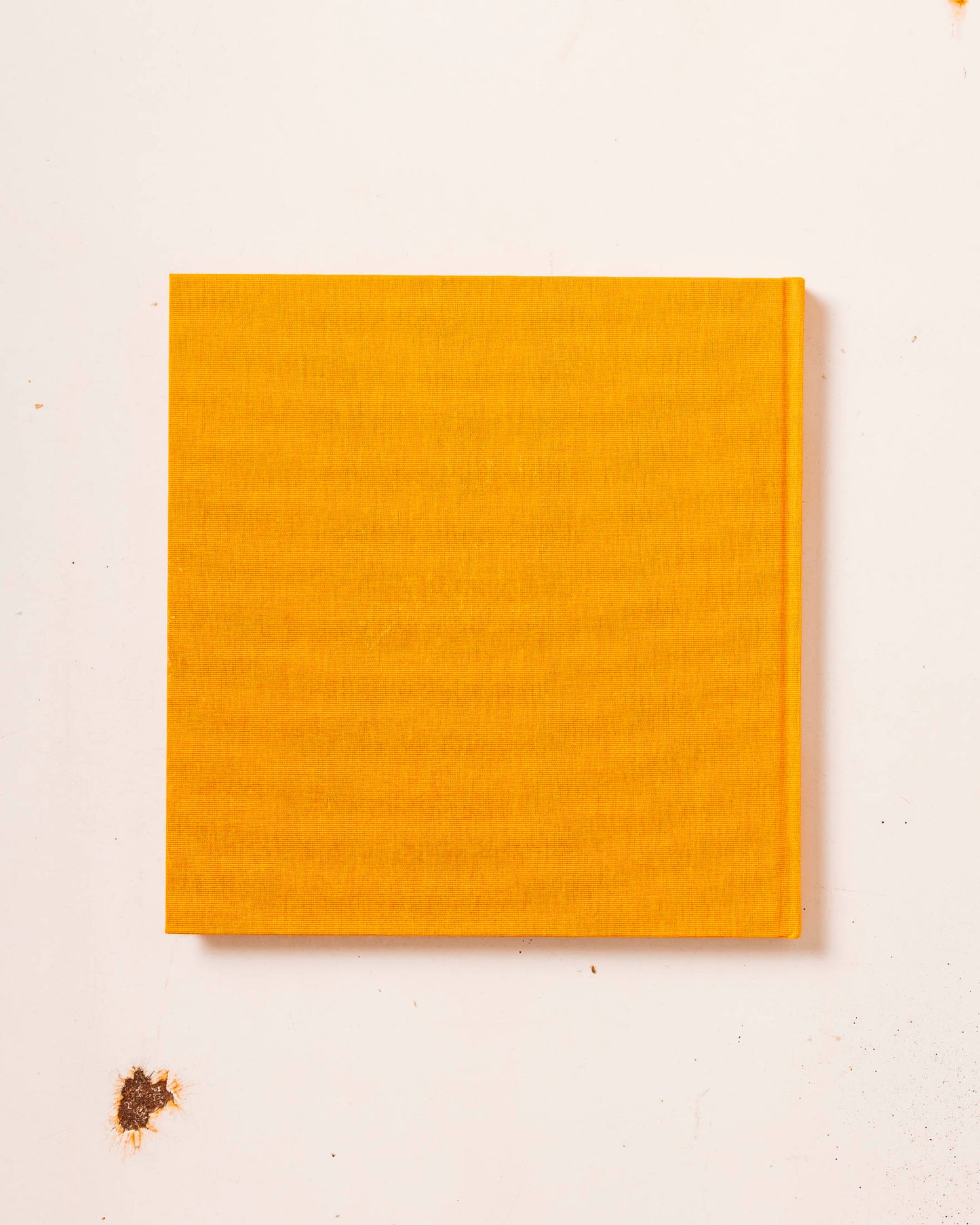 Advice for Young Artists