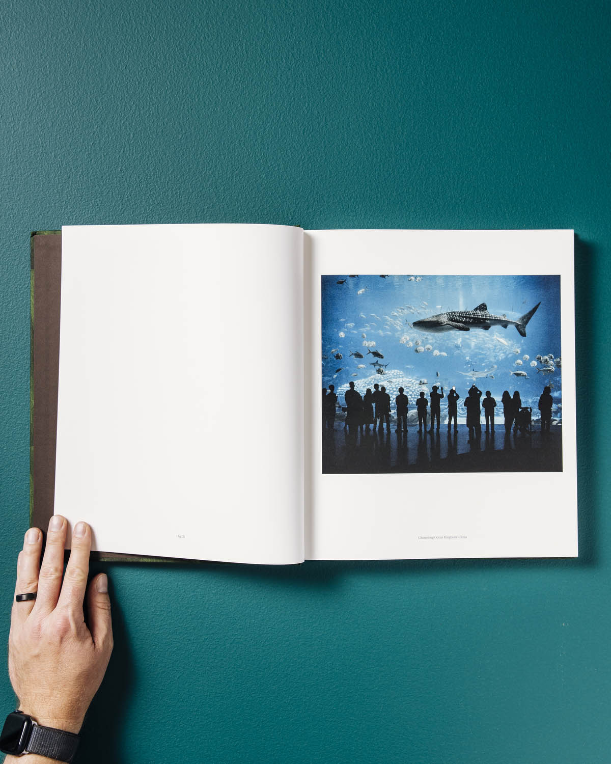 The Anthropocene Illusion