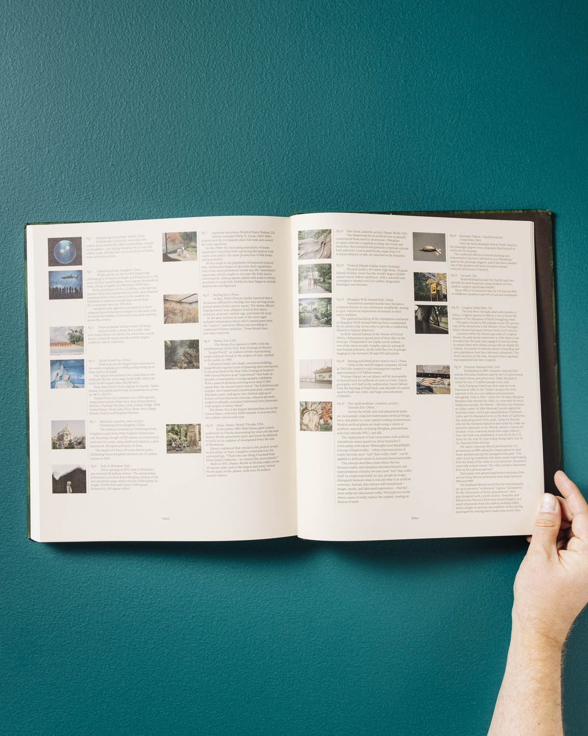 The Anthropocene Illusion