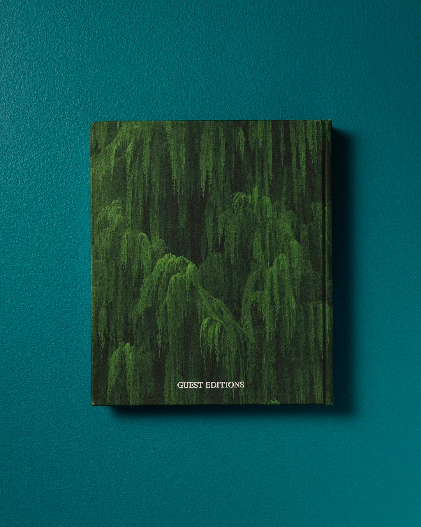 The Anthropocene Illusion