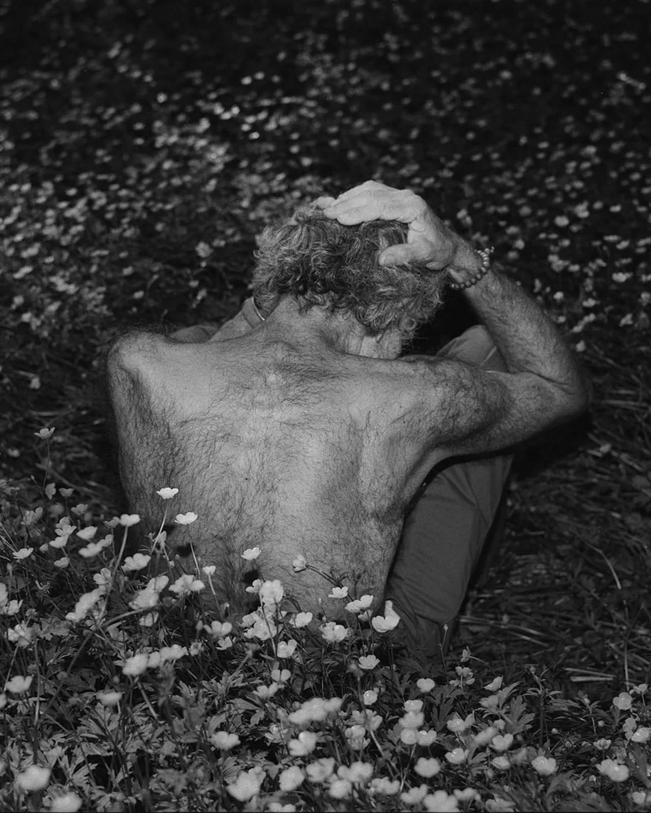 At Night Gardens Grow (Second Edition) (PRE-ORDER)