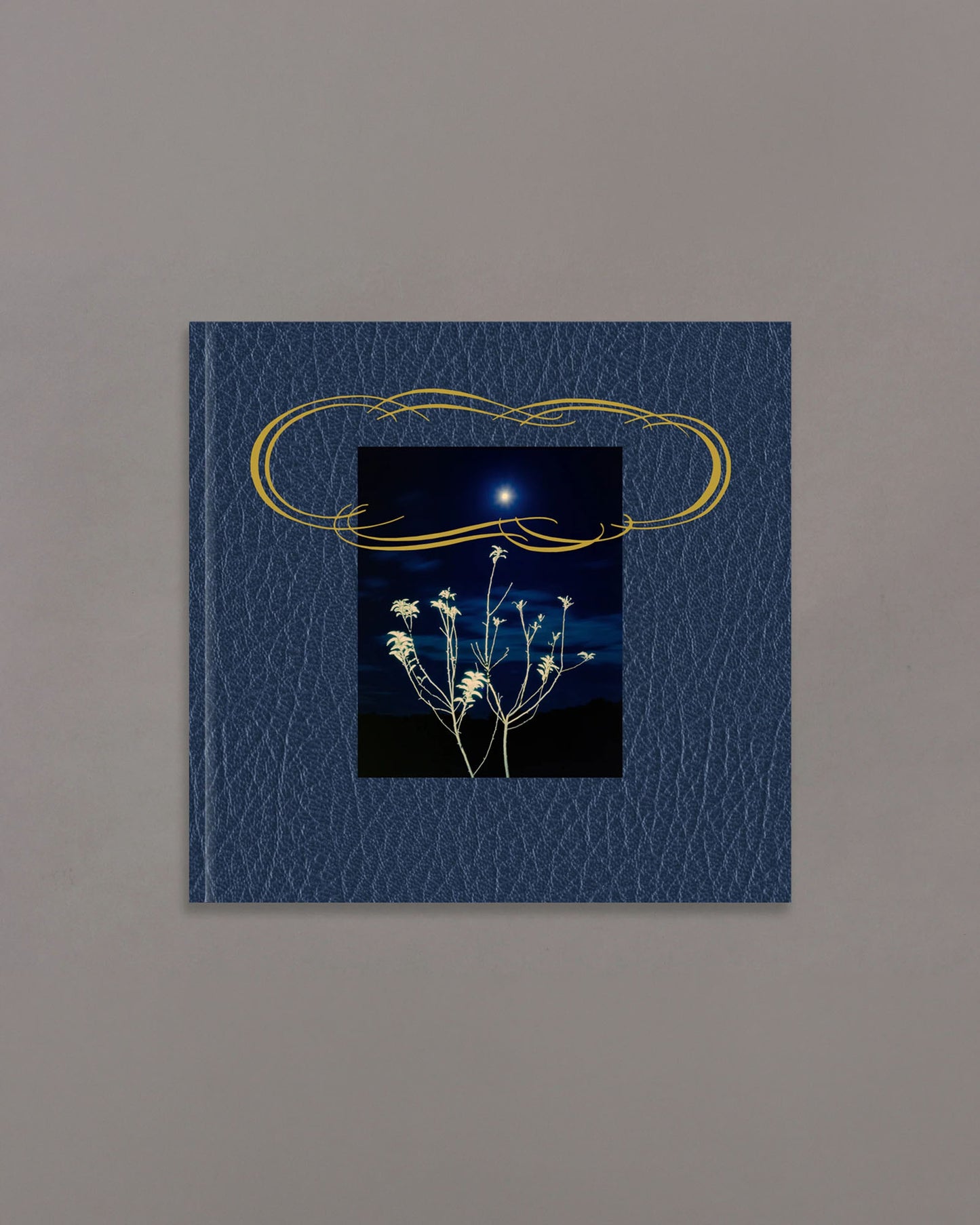 across the street from Heaven (PRE-ORDER)