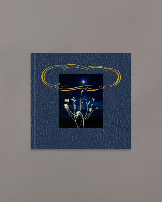 across the street from Heaven (PRE-ORDER)