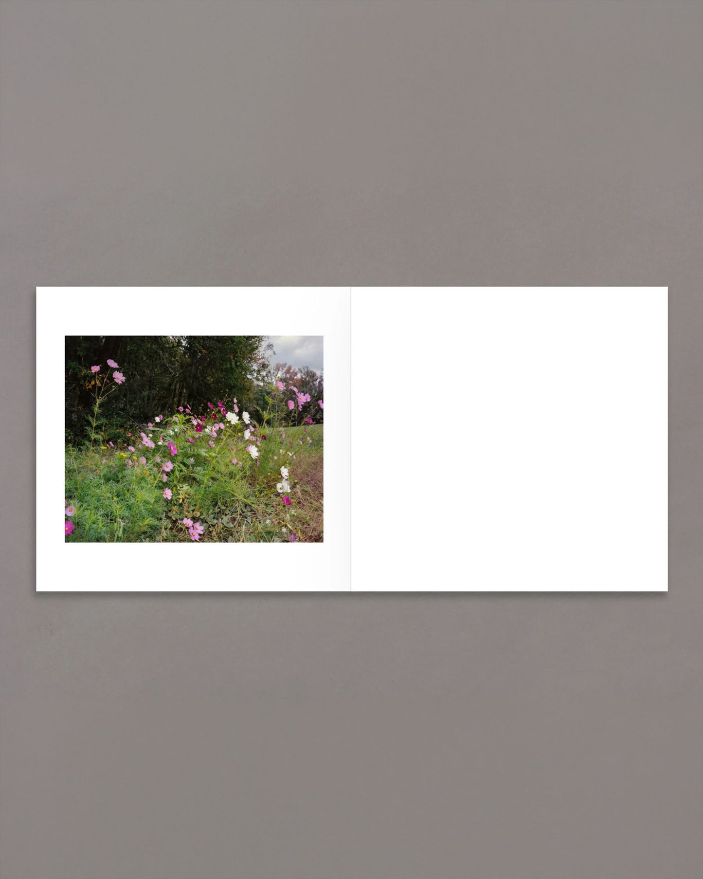 across the street from Heaven (PRE-ORDER)