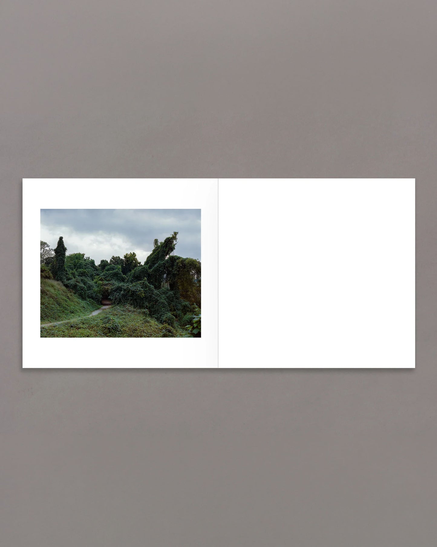 across the street from Heaven (PRE-ORDER)