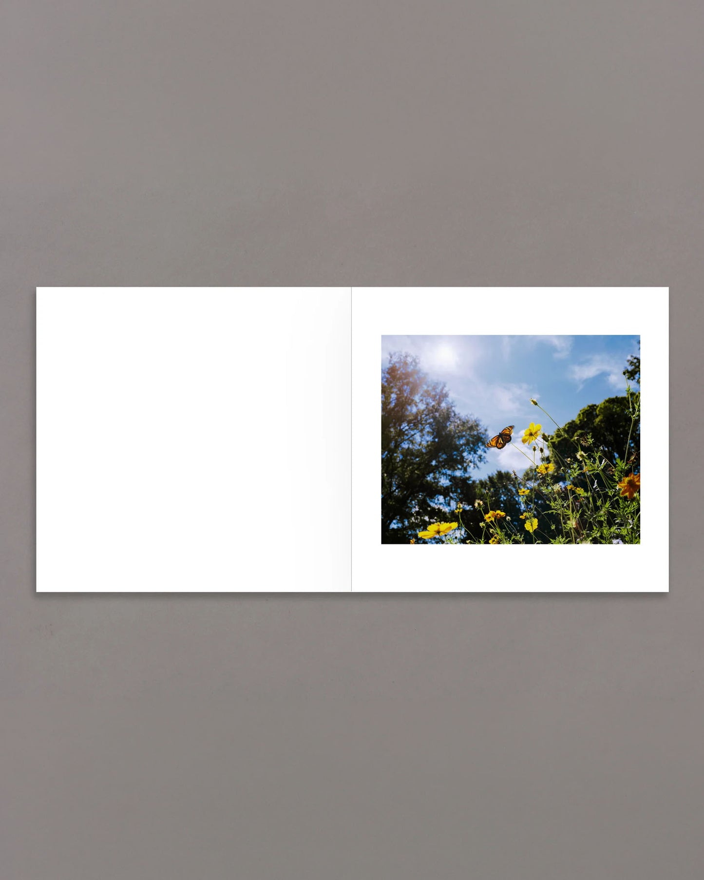 across the street from Heaven (PRE-ORDER)