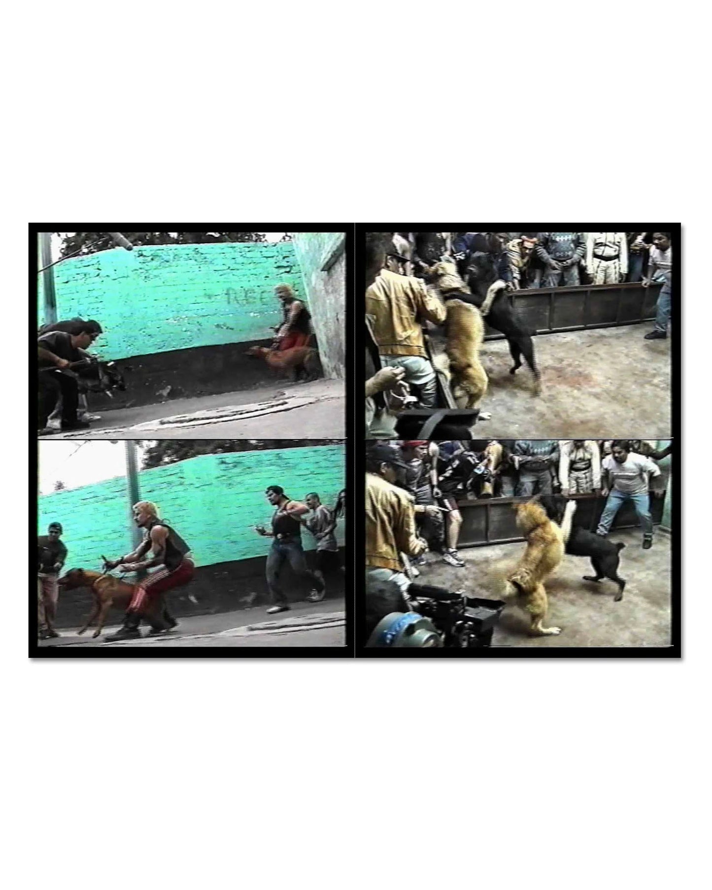 Amores Perros (PRE-ORDER)