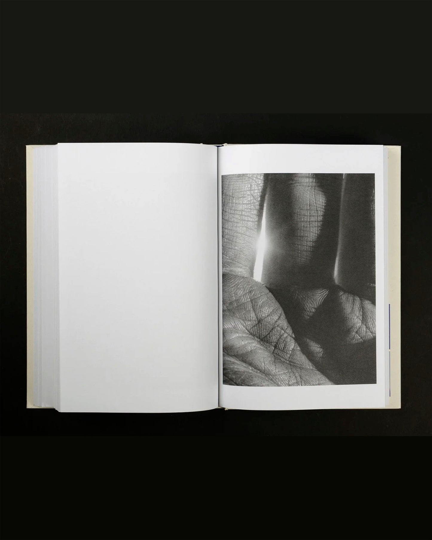 As Long as the Sun Lasts