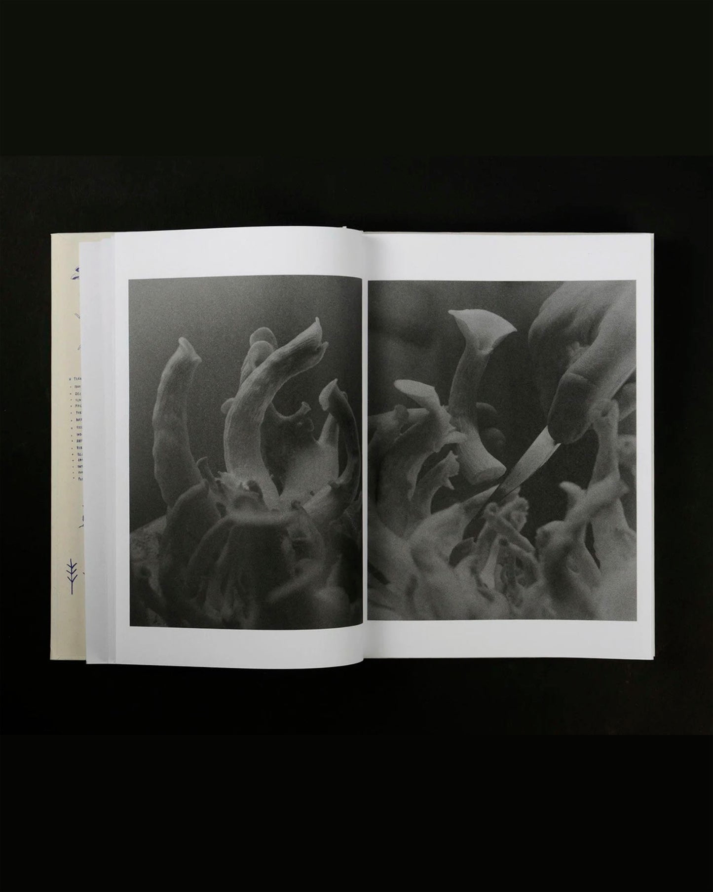 As Long as the Sun Lasts