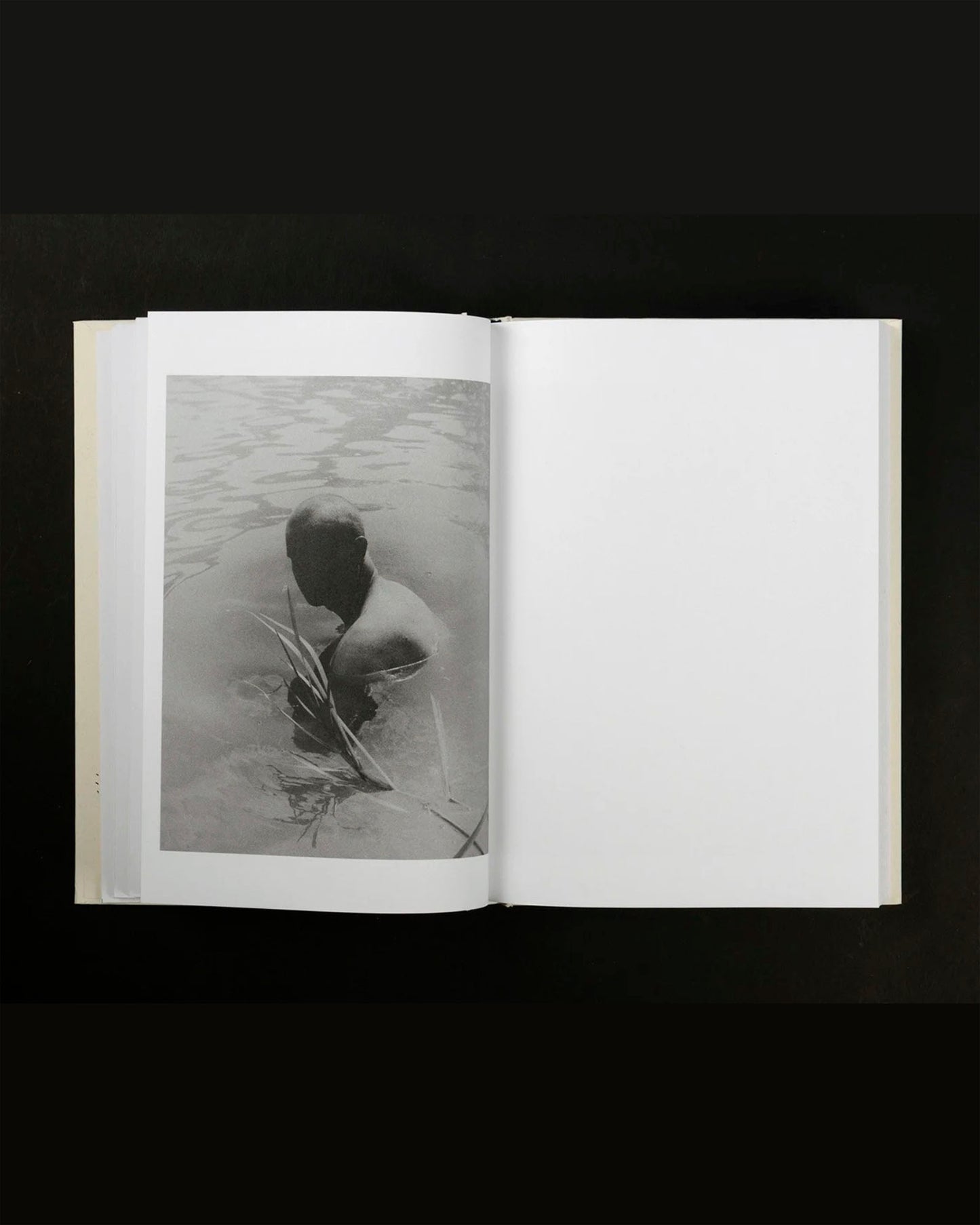 As Long as the Sun Lasts