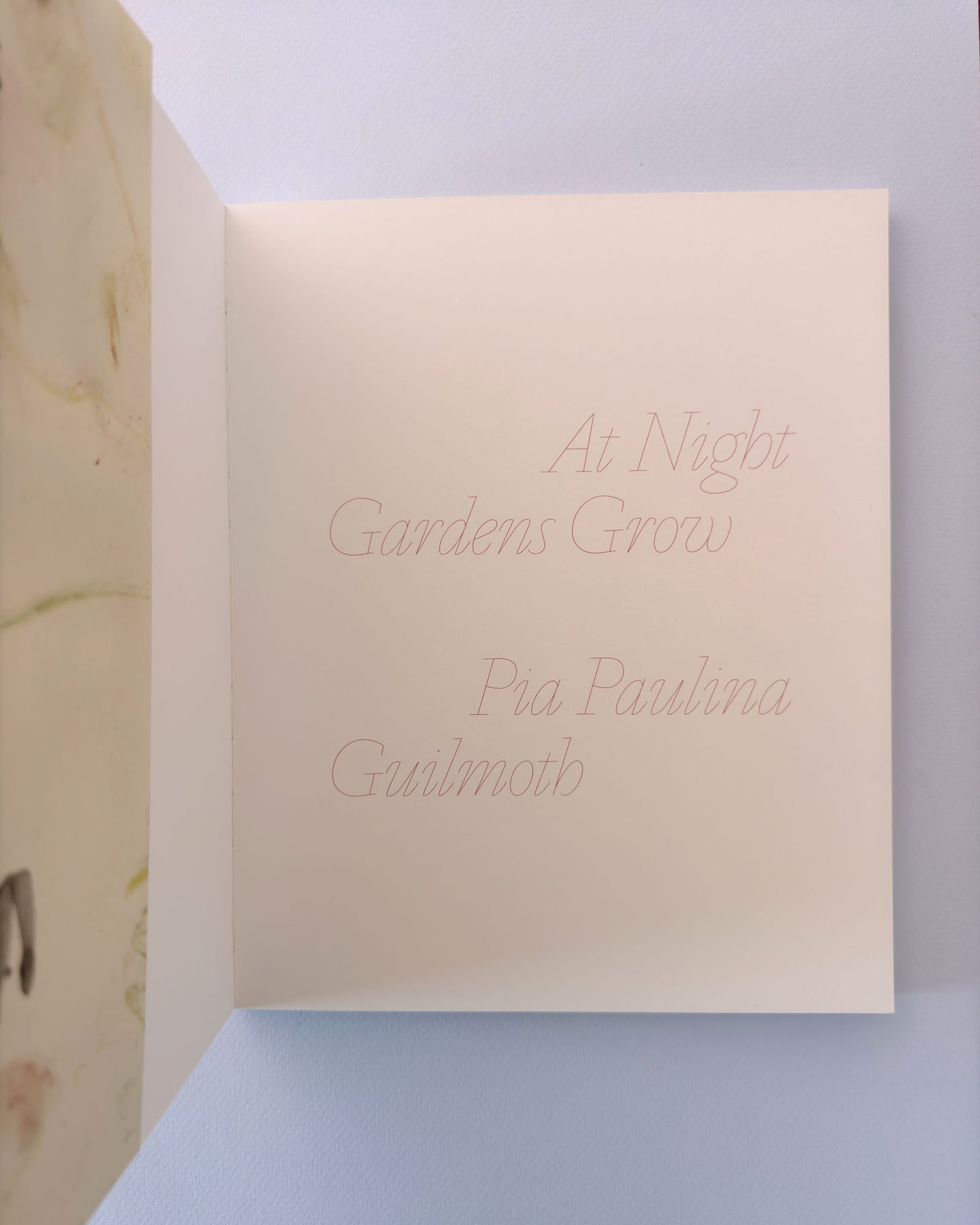 At Night Gardens Grow (Second Edition)