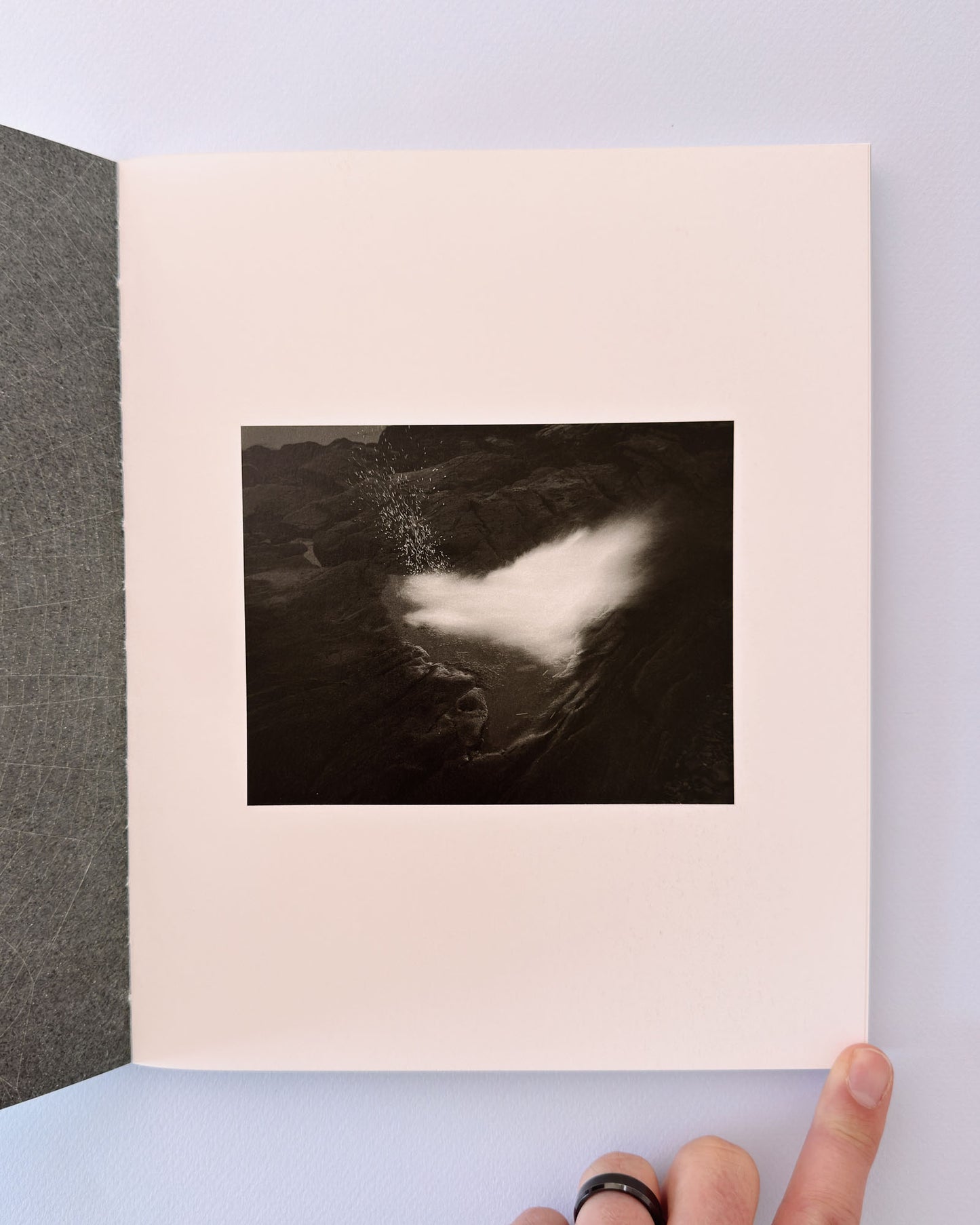 At Night Gardens Grow (Second Edition)