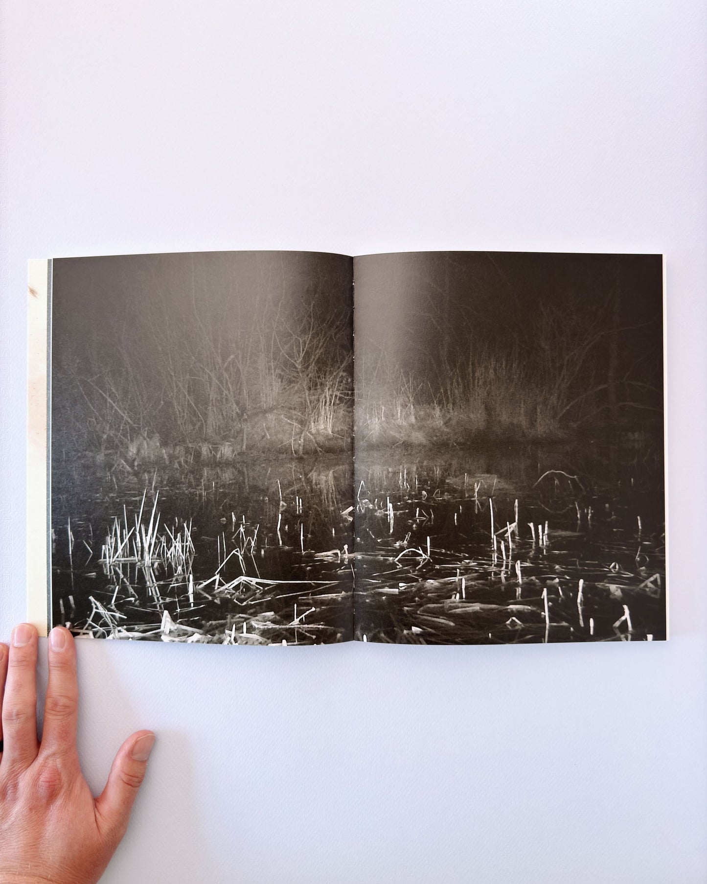 At Night Gardens Grow (Second Edition)