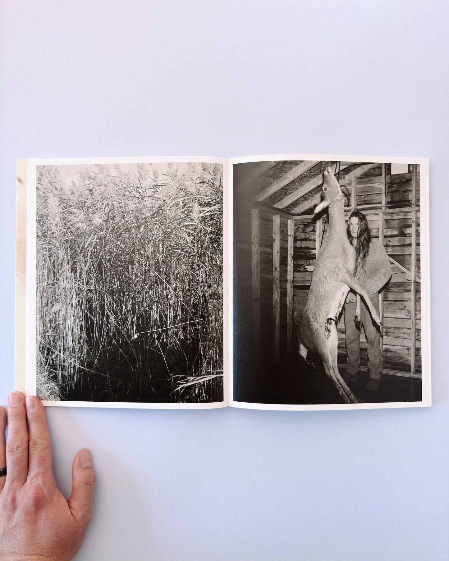 At Night Gardens Grow (Second Edition)