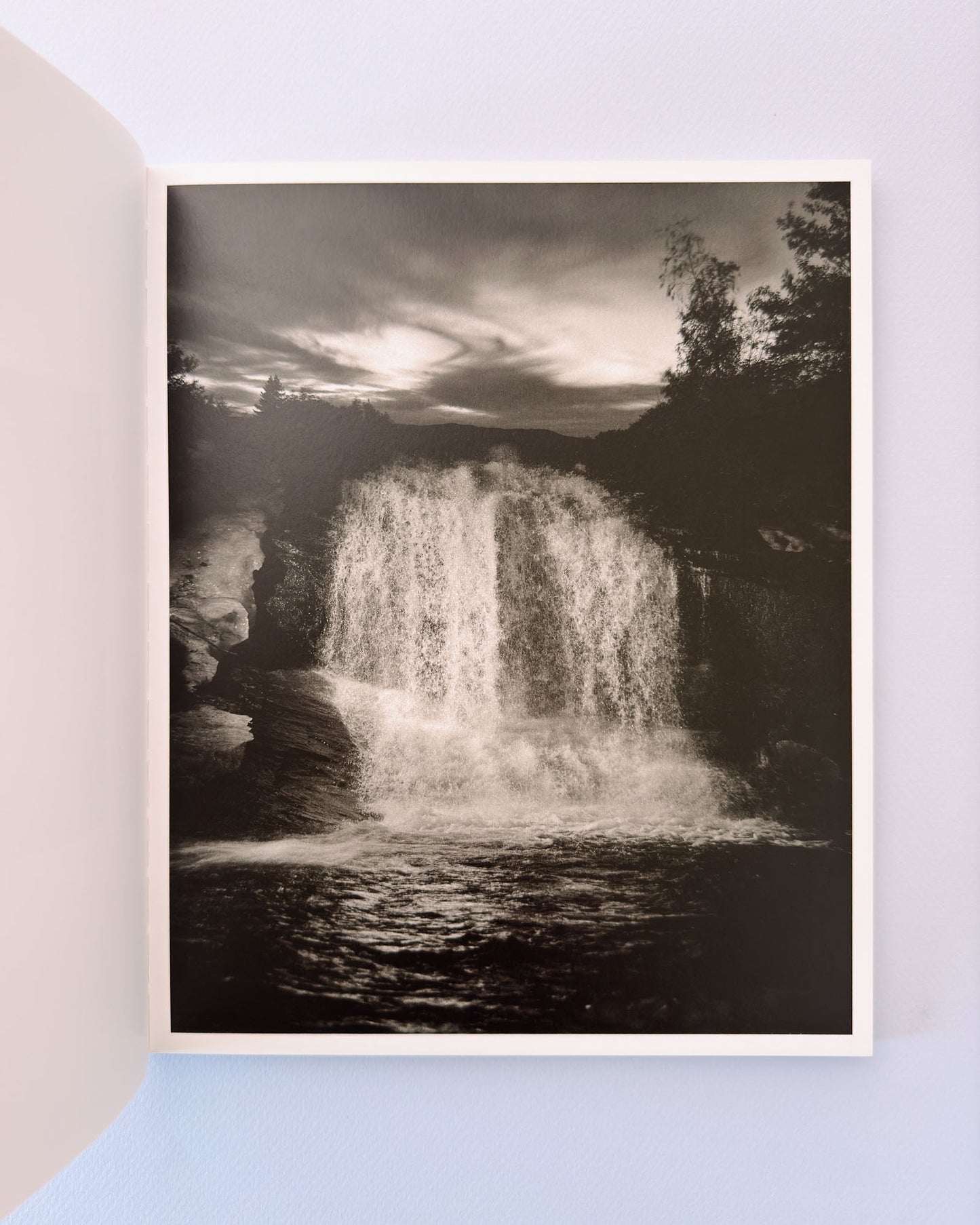 At Night Gardens Grow (Second Edition)