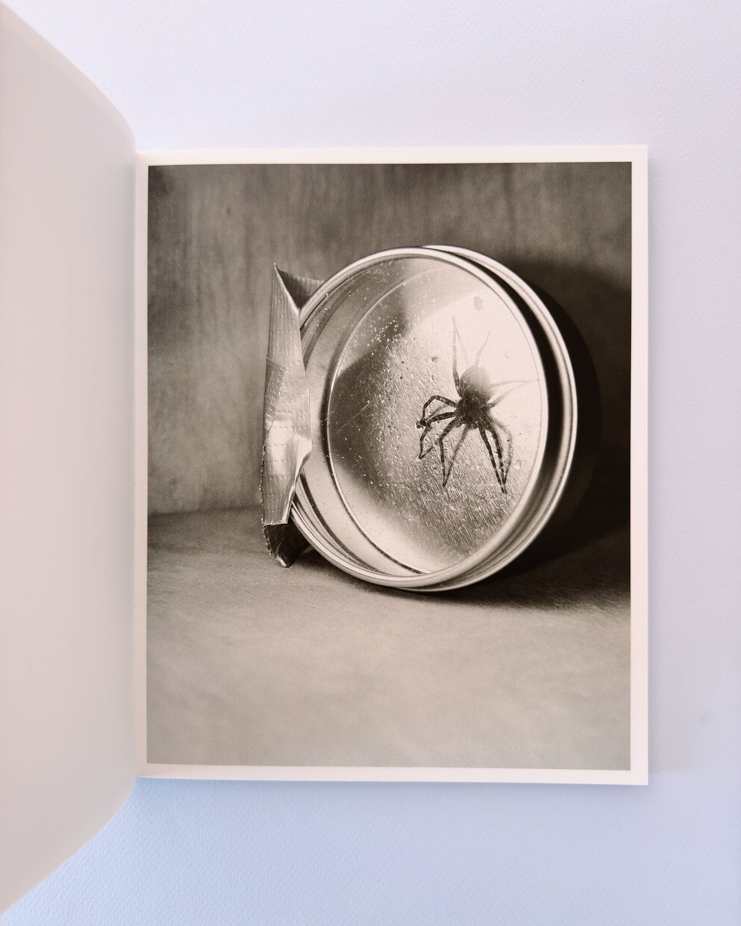At Night Gardens Grow (Second Edition)