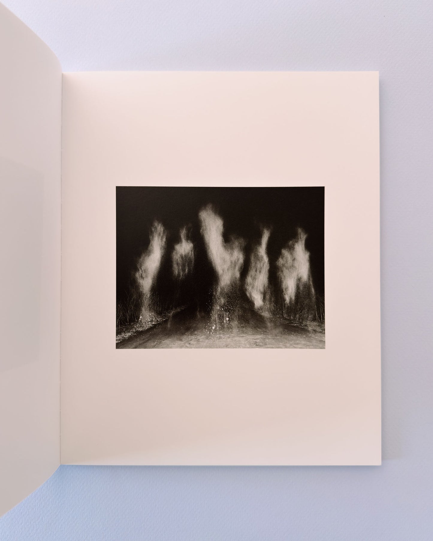 At Night Gardens Grow (Second Edition)