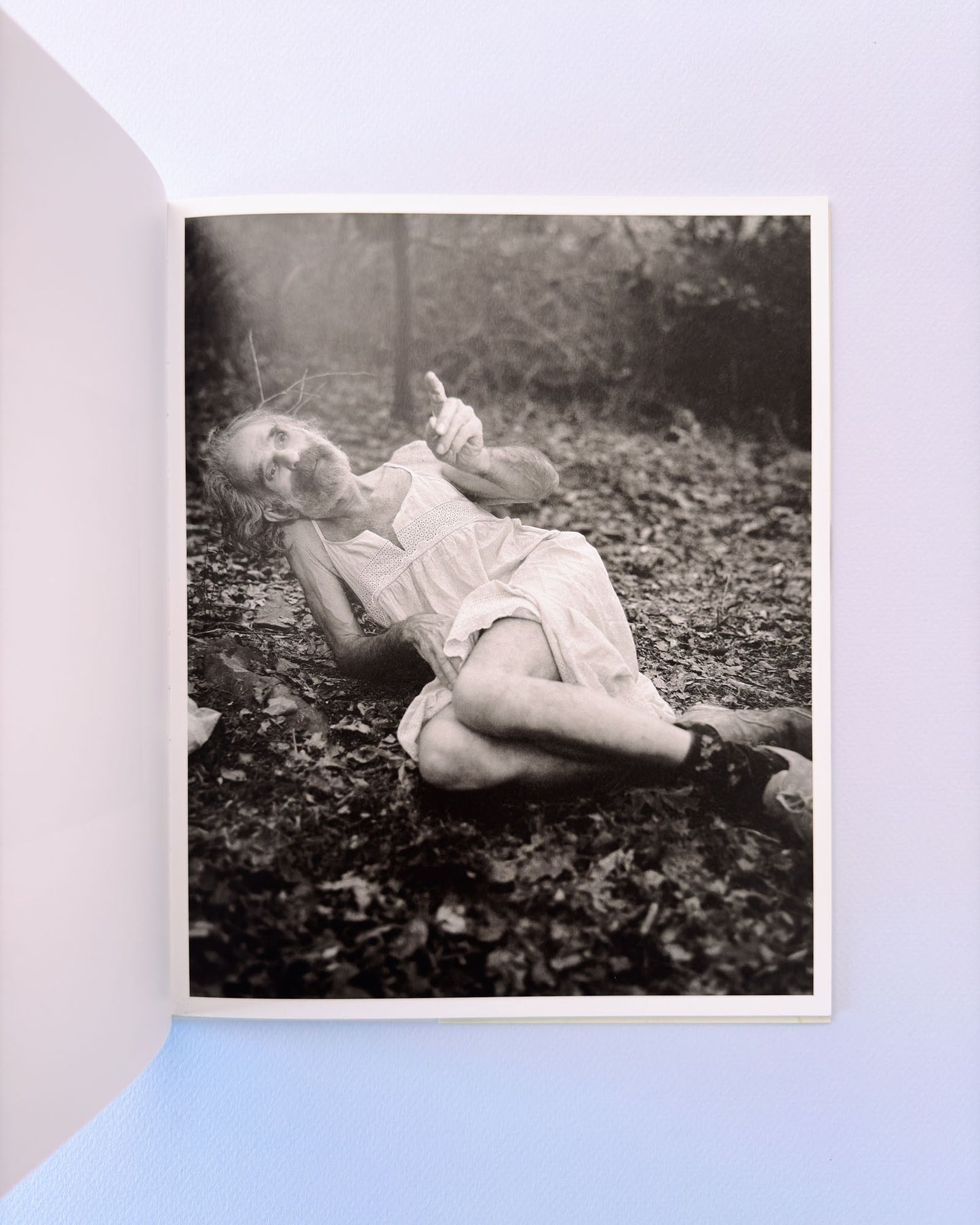 At Night Gardens Grow (Second Edition)