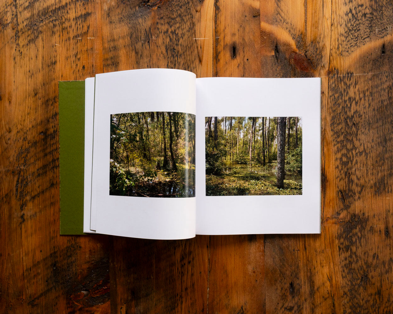 Blood Green (Signed)