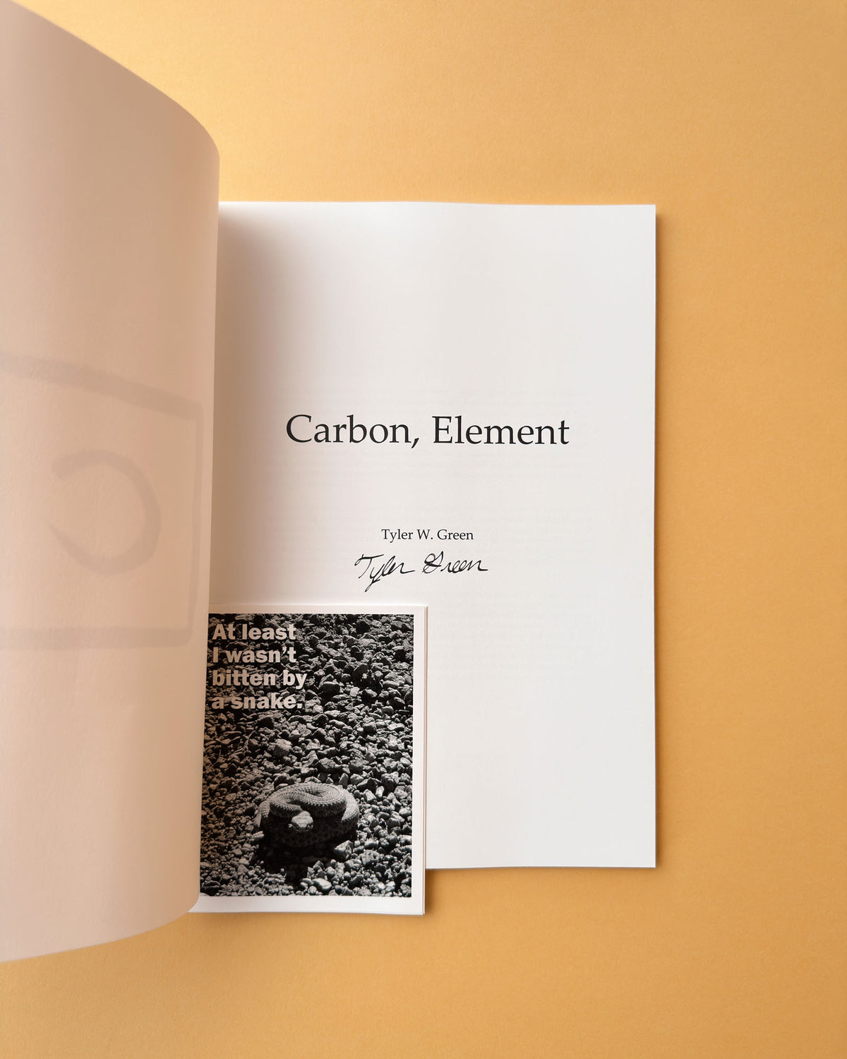 CARBON, ELEMENT by Tyler Green
