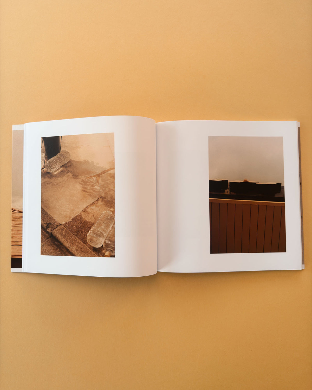 EARTHQUAKE WEATHER by Colin Dodgson