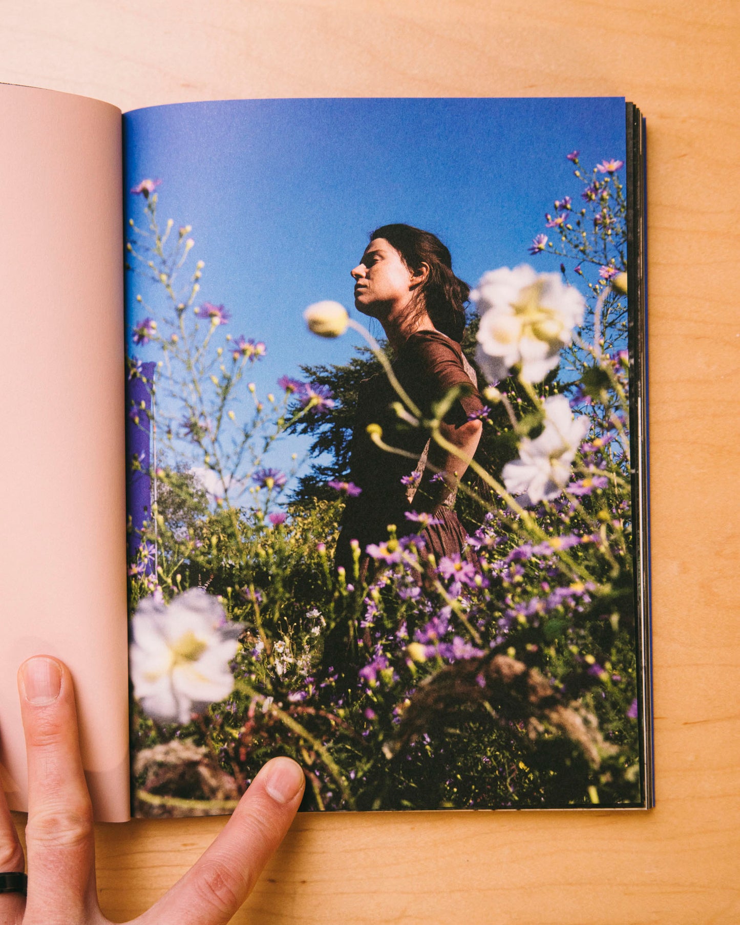 Even as a Shadow, Even as a Dream