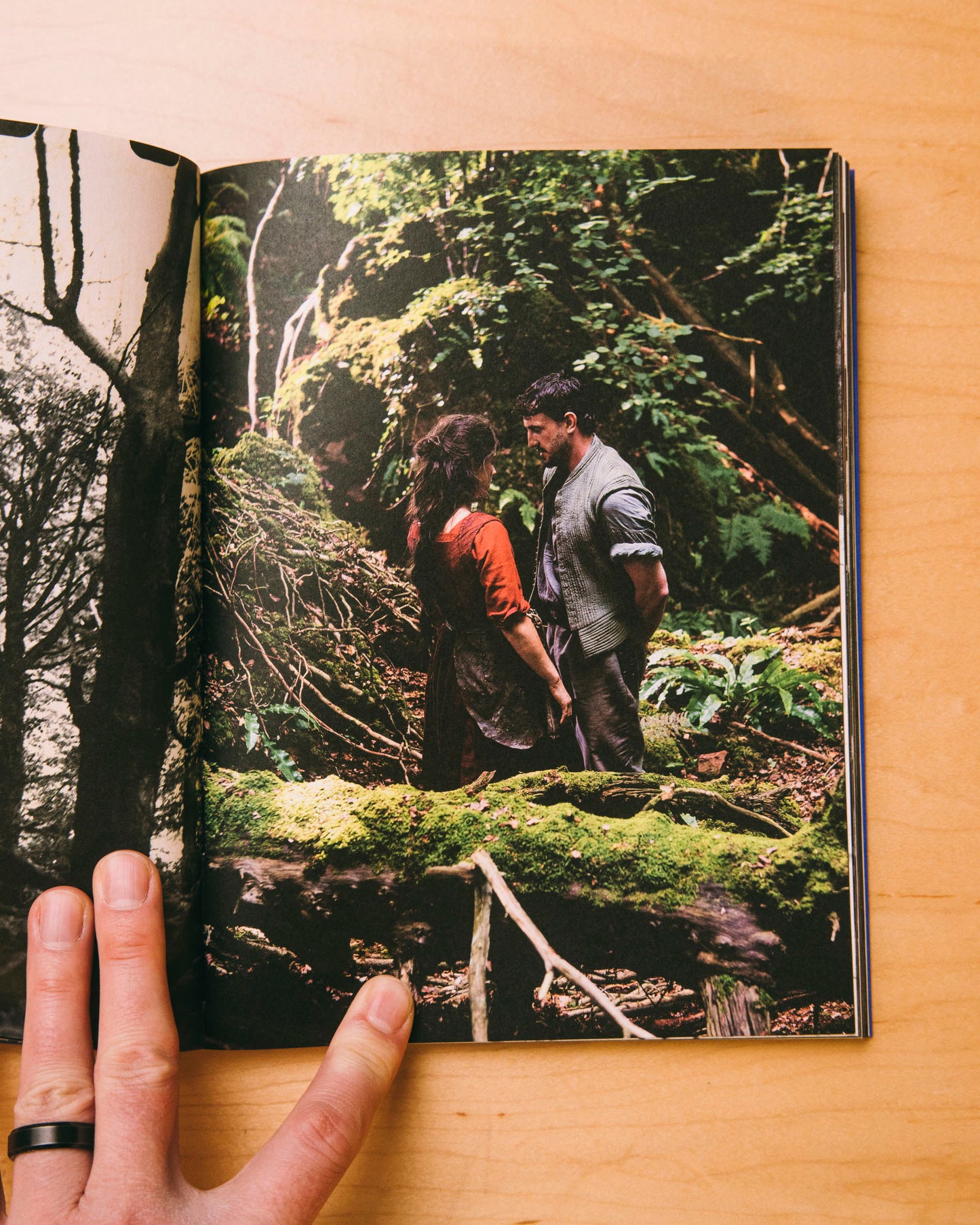 Even as a Shadow, Even as a Dream