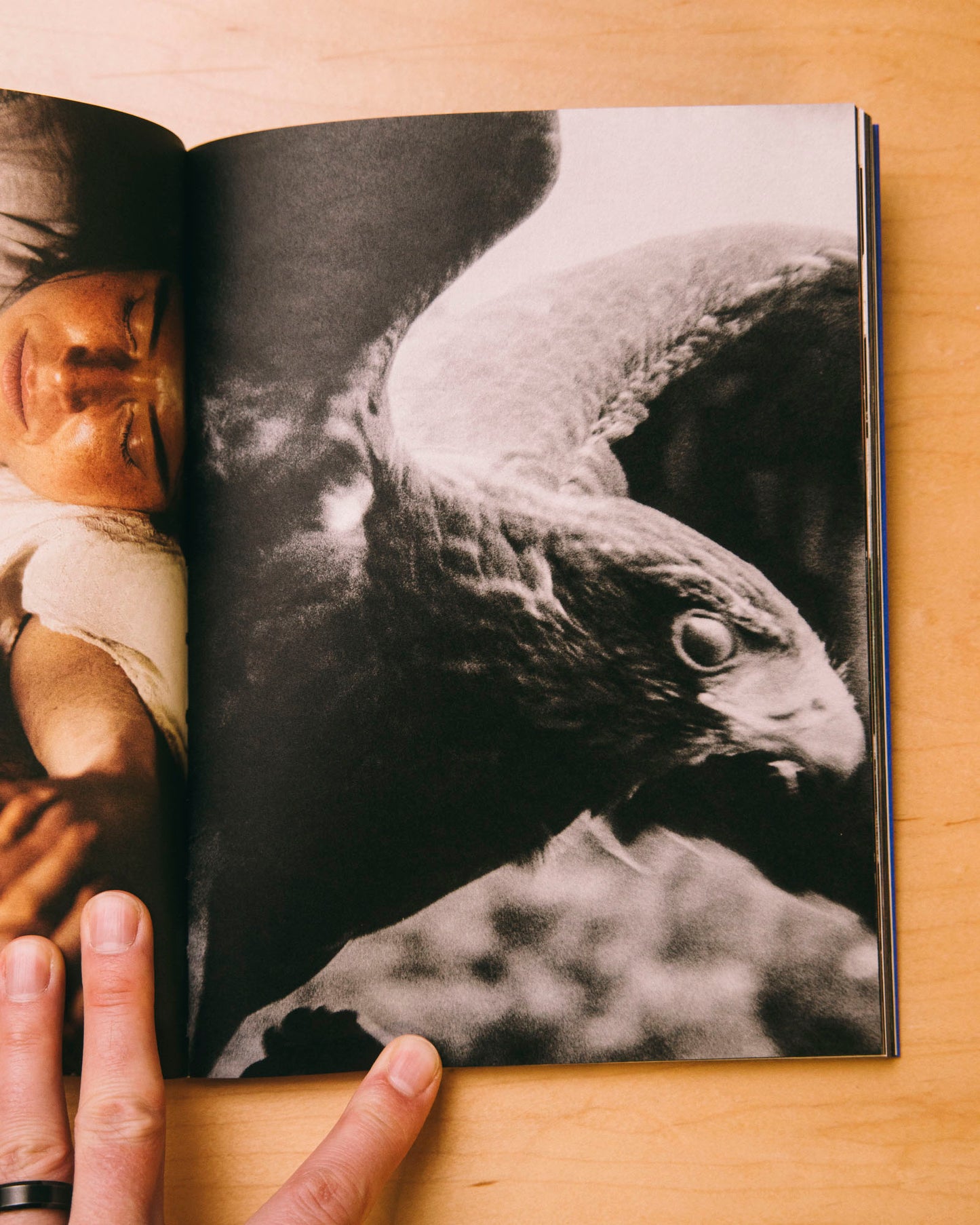 Even as a Shadow, Even as a Dream