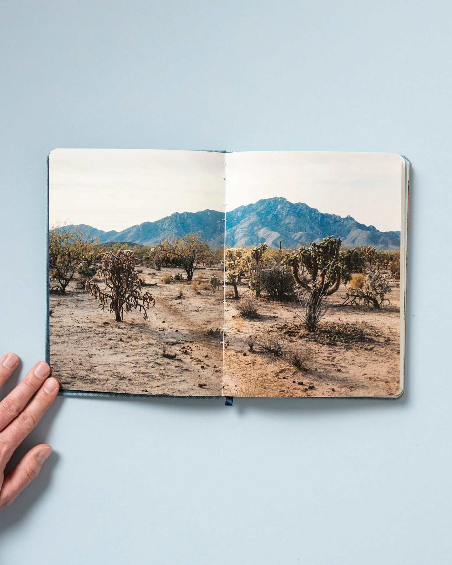 Field Book