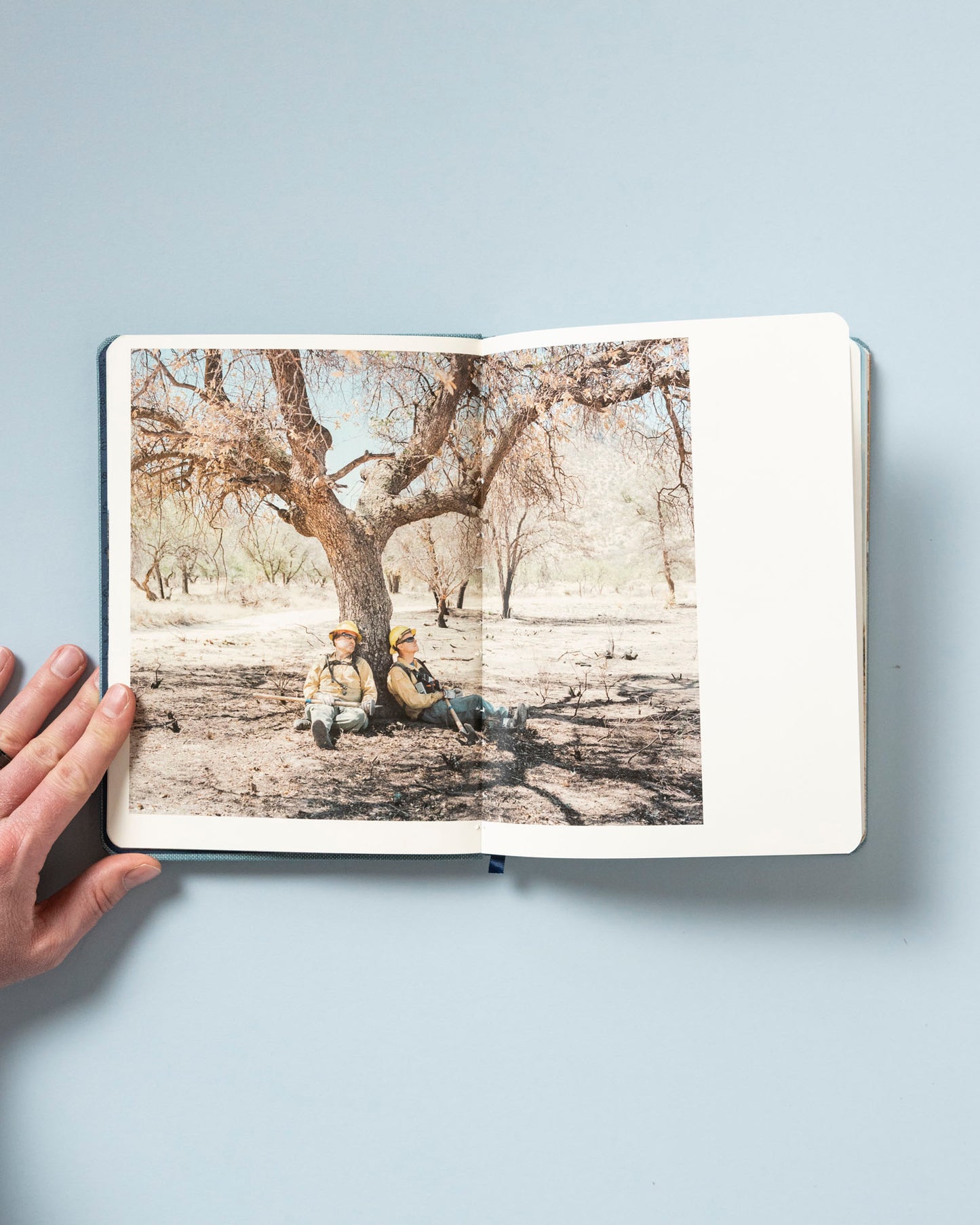 Field Book